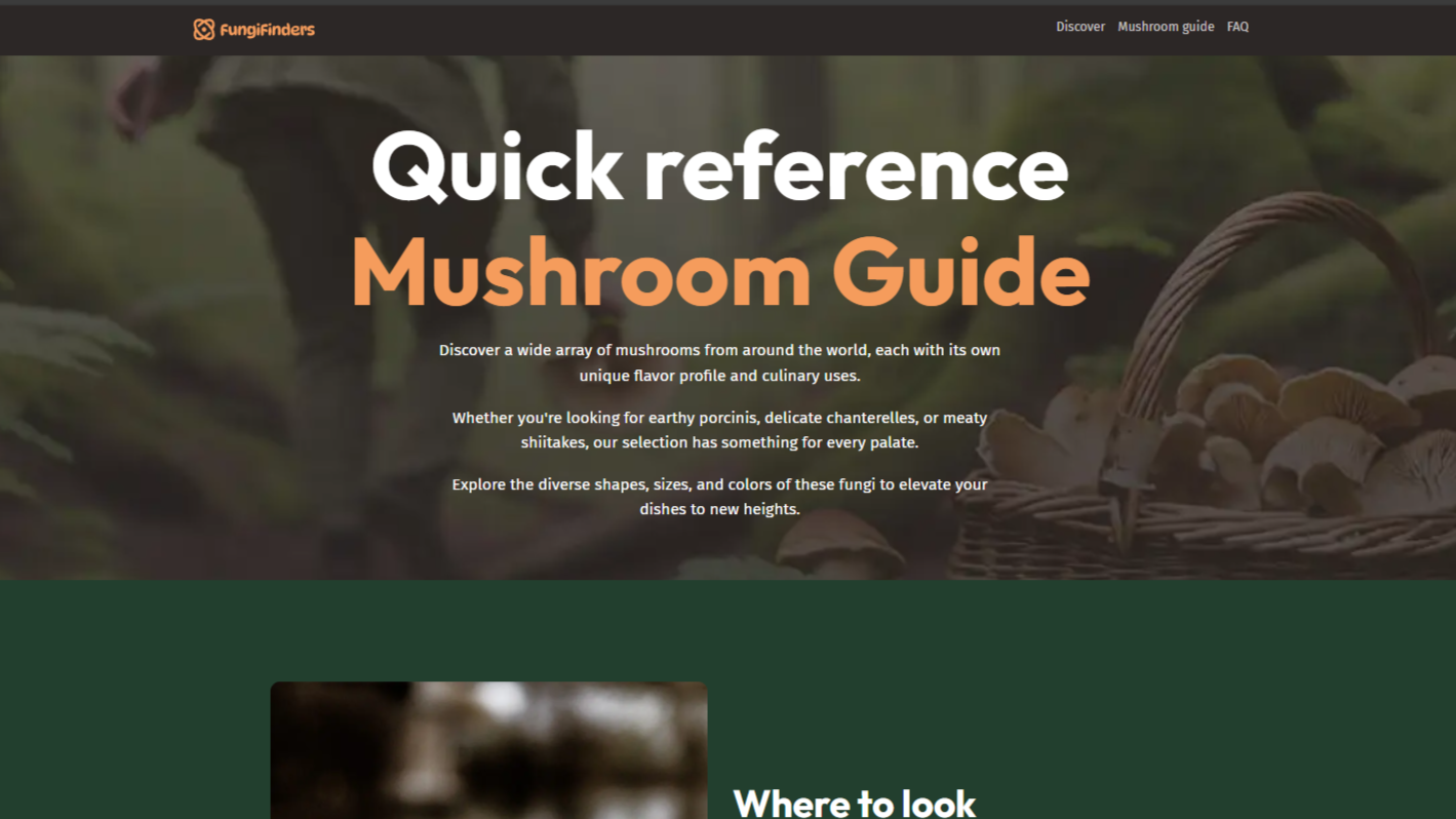 Professional Website